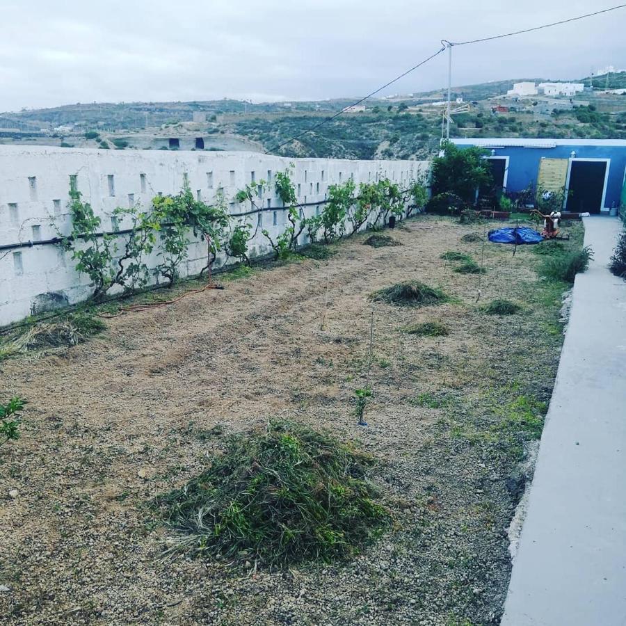 Hotel Yurta De Arico Arico Viejo Zewnętrze zdjęcie